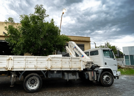 Pedro Gabilondo e Hijos S.R.L. - Montaje en planta